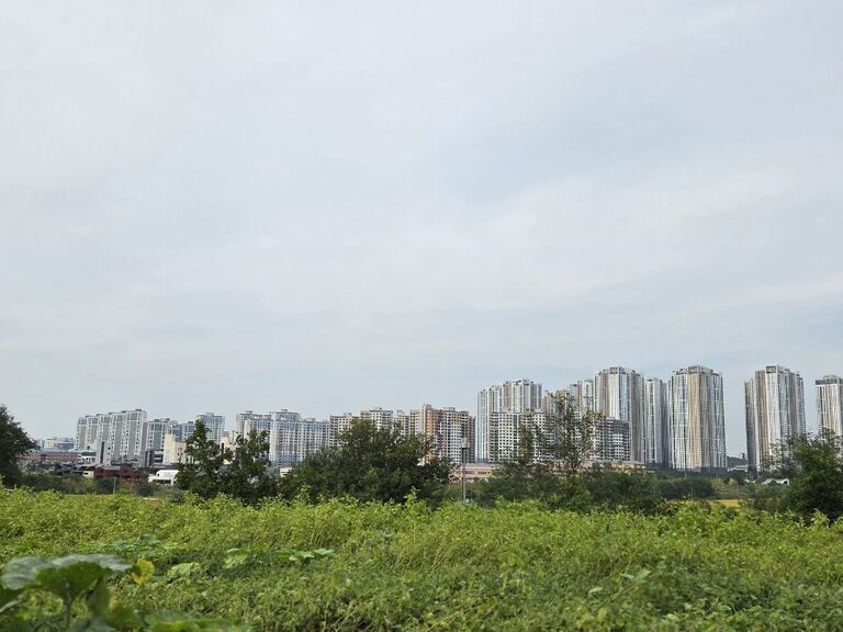 2~3층에서 바라본 도시전경